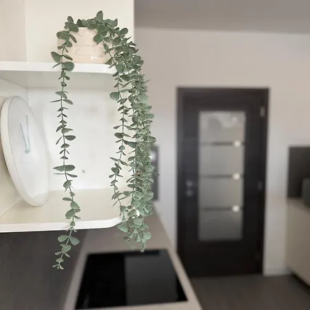 Apartment Dora Smrika